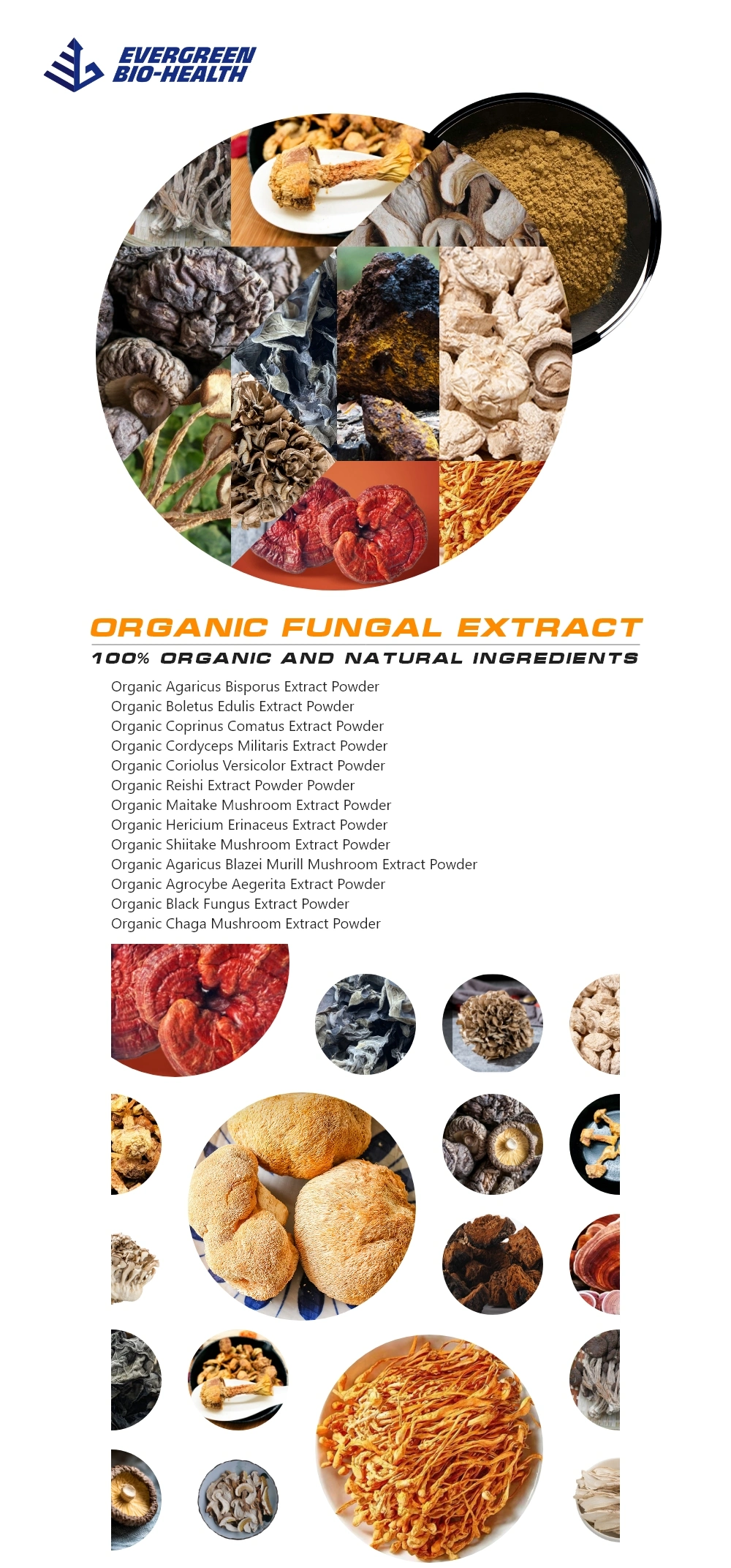 Herbal Extract Organic Dried Cordyceps Militaris