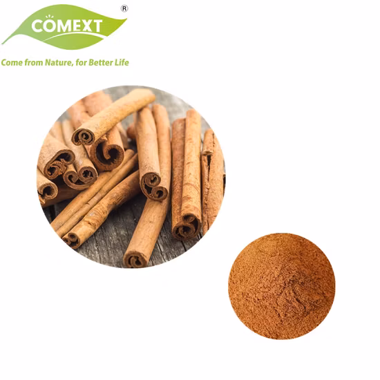 Spray Drying Cinnamon Powder Natural Herbal Plant Extract