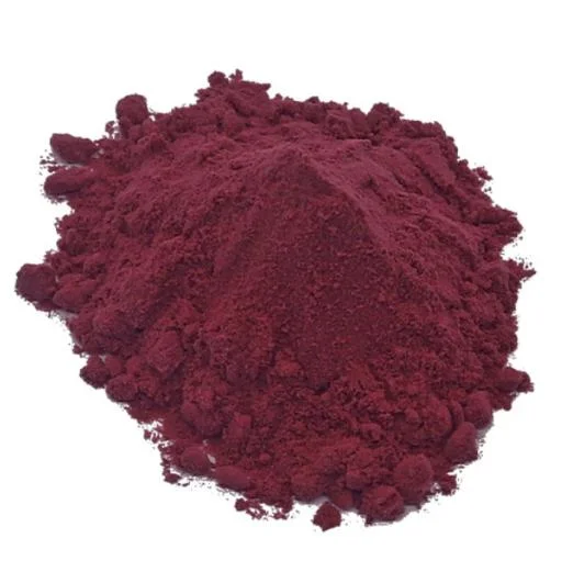 Wholesale Pure Natural Organic Food Elderberry Instant Fruit Powder Elderberry Fruit Powder Extract Supplement