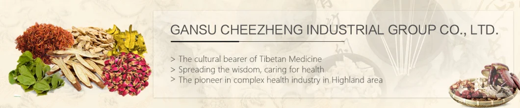 Organic Chinese Traditional Herb Astragalus Originated From Gansu Province for Invigorating Qi and Blood/Tonic Herb/Huang Qi Herb