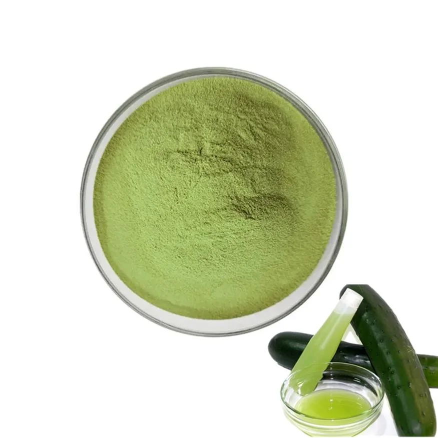 100% Natural Food and Beverage Organic Cucumber Vegeltable Extract Freeze Dried Cucumber Powder