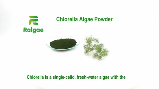 Vendita calda in fabbrica Integratori nutrizionali sfusi all'ingrosso Alimenti salutari Spirulina e integratori alimentari di clorella