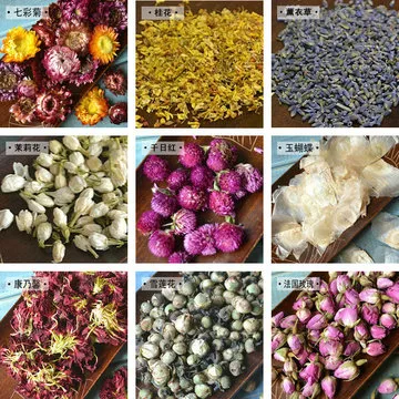 Jin LV Mei Tè ai fiori alle erbe biologico all'ingrosso Amamelide Mollis Estratto essiccato di amamelide