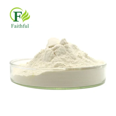 Fabbrica cinese con elevata purezza e buon prezzo CAS 84687-43-4 Estratto di erbe Astragaloside IV per migliorare l'immunità Estratto di radice di astragalo organico