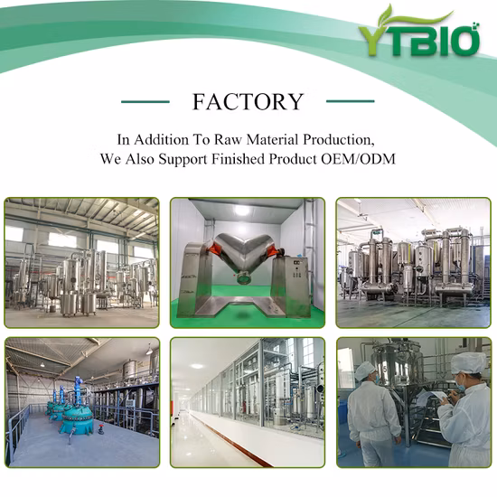 Polvere naturale di frutta con succo di mirtillo cinese