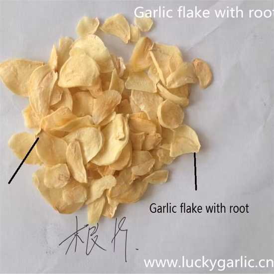 Granuli di aglio disidratato con radici 20-40 m