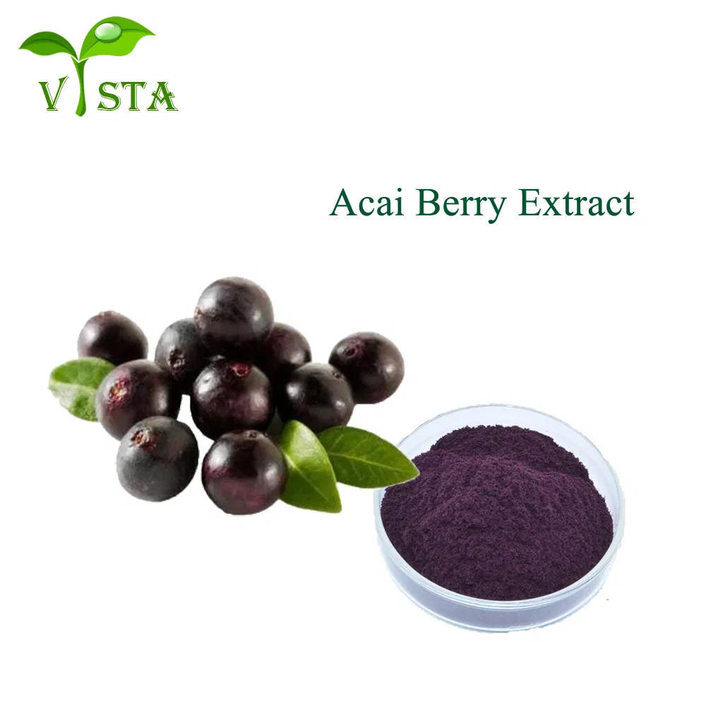 Polvere di frutta Acai pura naturale al 100%, polvere di estratto di bacche di Acai