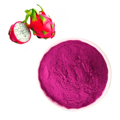 Produttore di polvere di frutta pitaya/drago rosso liofilizzata biologica a prezzi competitivi per il gelato