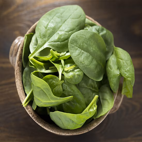 Polvere vegetale biologica naturale di alta qualità