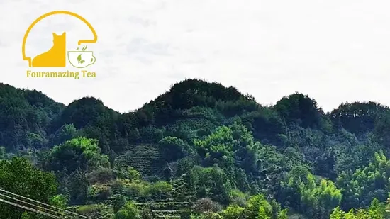 Tè cinese di alta qualità di Craft Flower Ball, tè cinese, tè nero